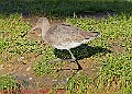 20250130PENSJAN00638A