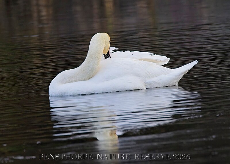 20260114 PENSJAN00140A.JPG