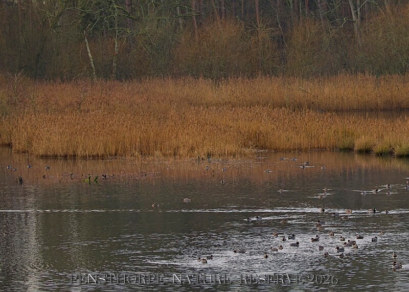 20260114 PENSJAN00249A.JPG