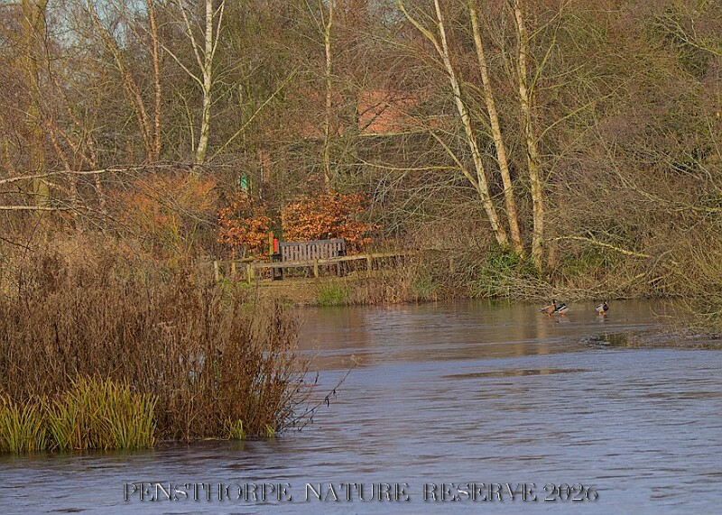 20260114 PENSJAN00401A.JPG