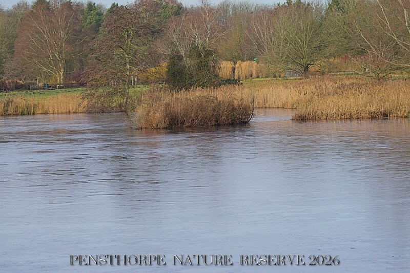 20260114 PENSJAN00420A.JPG