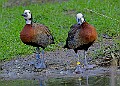 20260114 PENSJAN00016A