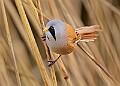 20260114 PENSJAN00103A