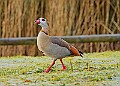 20260114 PENSJAN00160A