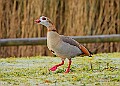 20260114 PENSJAN00163A