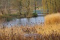 20260114 PENSJAN00164A