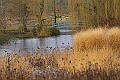 20260114 PENSJAN00165A