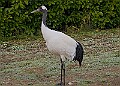 20260114 PENSJAN00171A