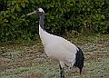 20260114 PENSJAN00172A