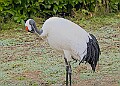 20260114 PENSJAN00174A