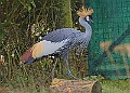 20260114 PENSJAN00191A