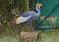 20260114 PENSJAN00192A