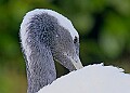 20260114 PENSJAN00205A