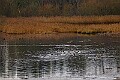 20260114 PENSJAN00248A