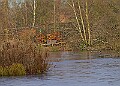20260114 PENSJAN00401A