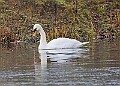 20260114 PENSJAN00406A