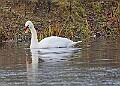 20260114 PENSJAN00407A