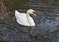 20260114 PENSJAN00416A