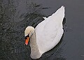 20260114 PENSJAN00423A