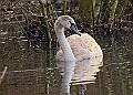 20260114 PENSJAN00434A