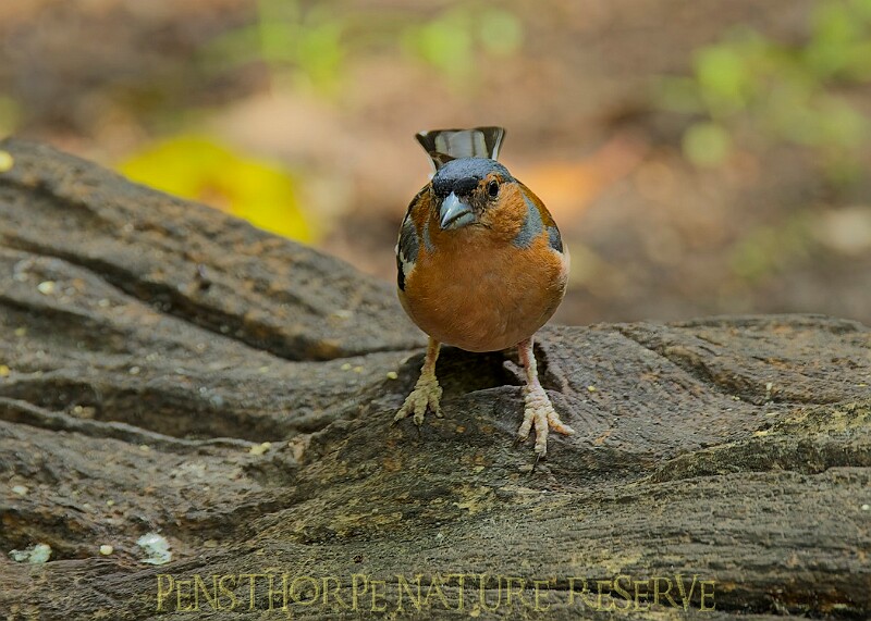20250619PENSJUNE00314A.JPG