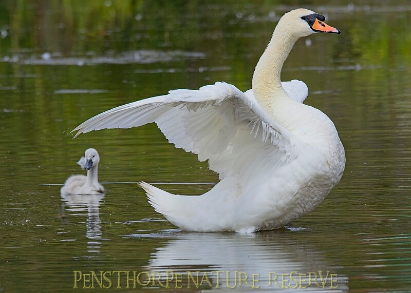 20250619PENSJUNE00384A.JPG
