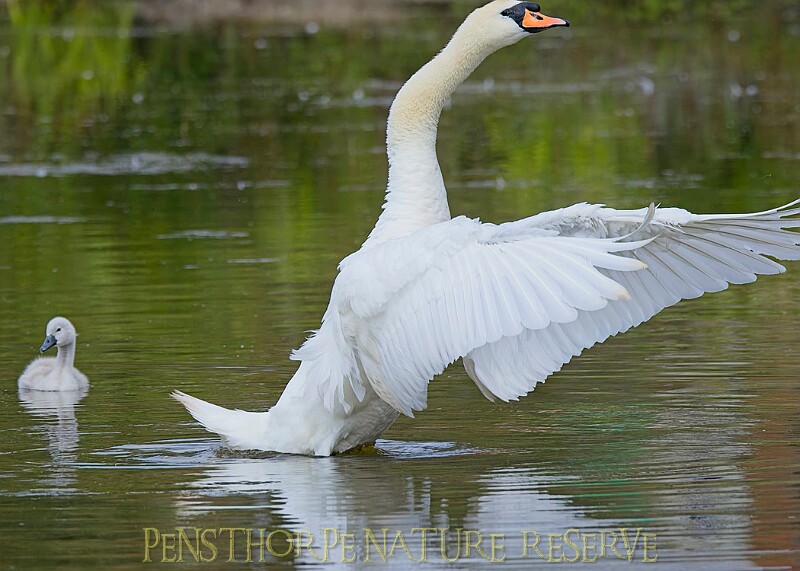 20250619PENSJUNE00392A.JPG