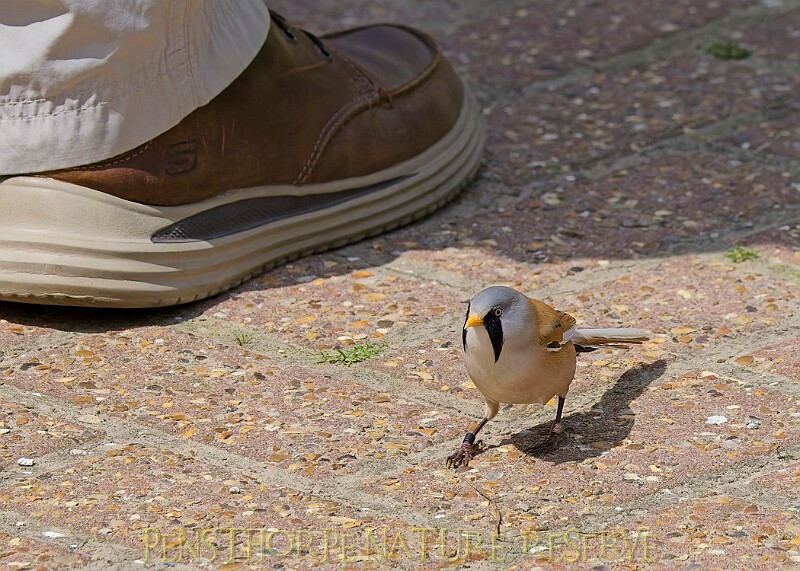20250619PENSJUNE00455A.JPG