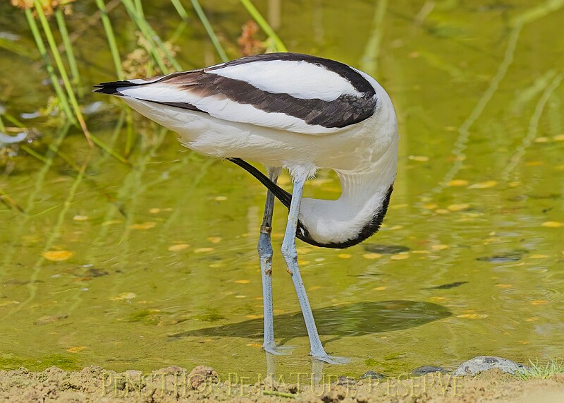 20250619PENSJUNE00468A.JPG