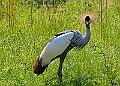 20250619PENSJUNE00108A