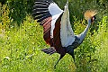 20250619PENSJUNE00117A