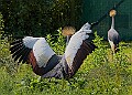 20250619PENSJUNE00128A