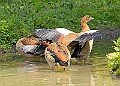 20250619PENSJUNE00190A
