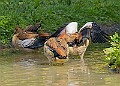 20250619PENSJUNE00197A