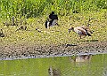20250619PENSJUNE00228A
