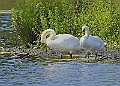 20250619PENSJUNE00267A