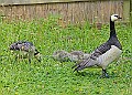 20250619PENSJUNE00277A