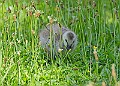 20250619PENSJUNE00299A