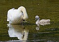 20250619PENSJUNE00417A
