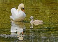 20250619PENSJUNE00420A
