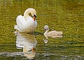 20250619PENSJUNE00421A