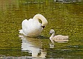 20250619PENSJUNE00424A
