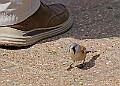 20250619PENSJUNE00455A