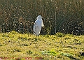 20250306PENSMARCH00243A