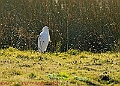 20250306PENSMARCH00244A