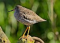 20260319 PENSMARCH00085A