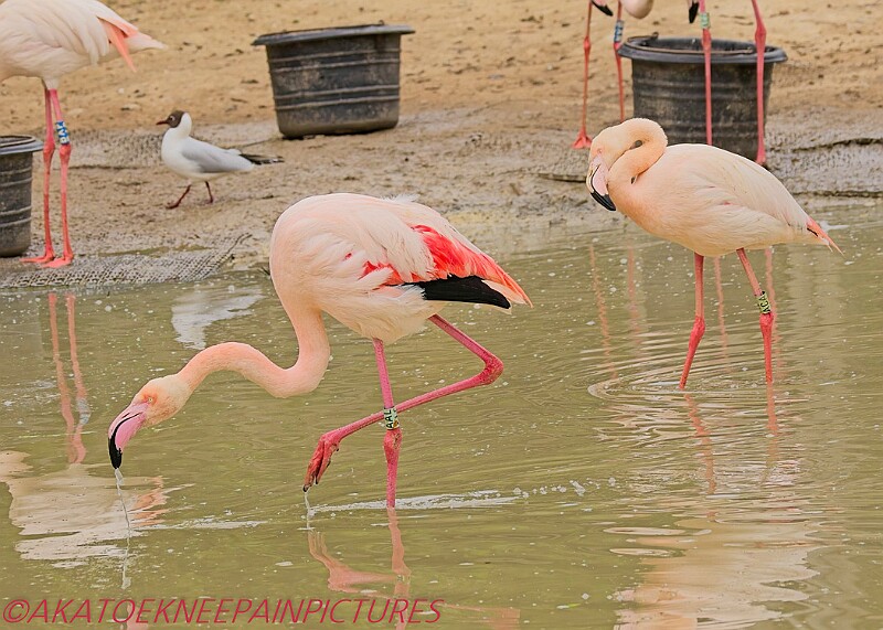 20250522PENSMAY00060A.JPG