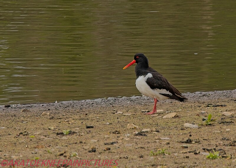 20250522PENSMAY00125A.JPG