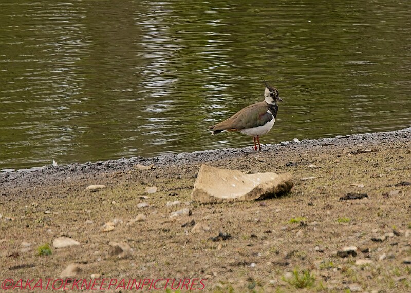 20250522PENSMAY00143A.JPG