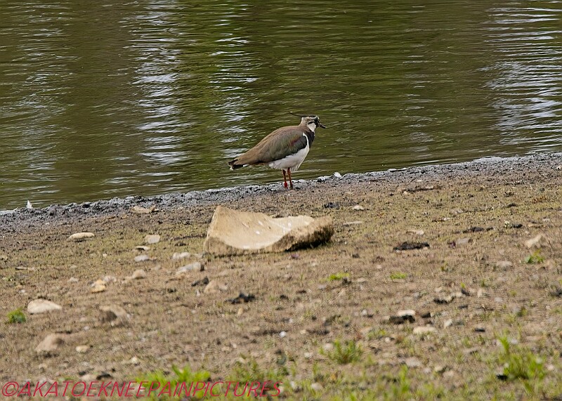 20250522PENSMAY00146A.JPG